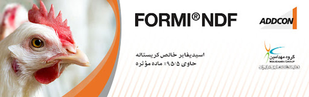 فُرمی ان‌دی‌اف