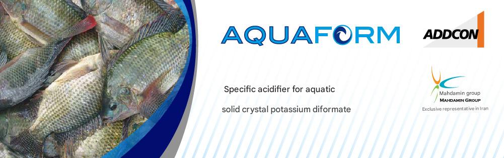 aquafom