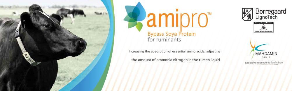 amipro