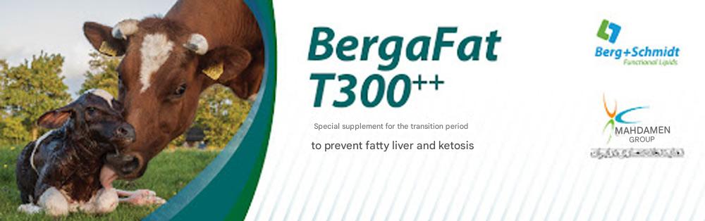 BergaFat T300++