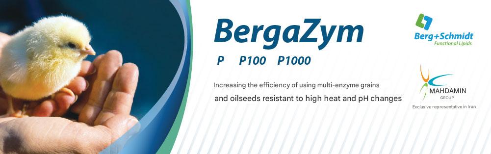 BergaZym