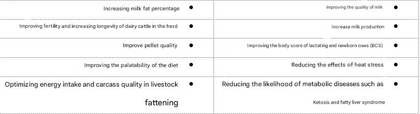 Benefits of Bargaft
