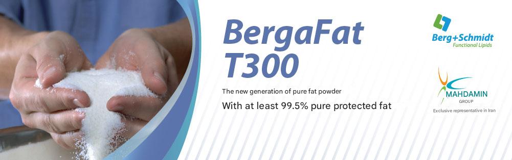 T300